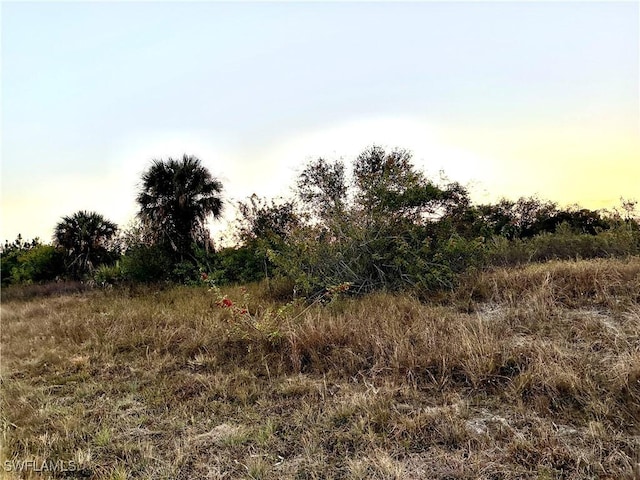 1619 Leroy Ave, Lehigh Acres FL, 33972 land for sale