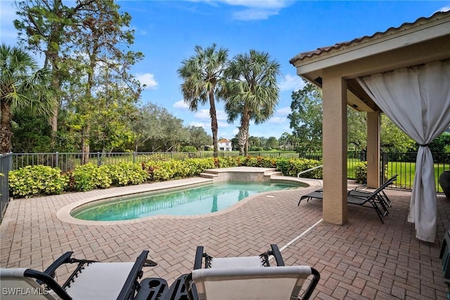 view of pool with a patio area