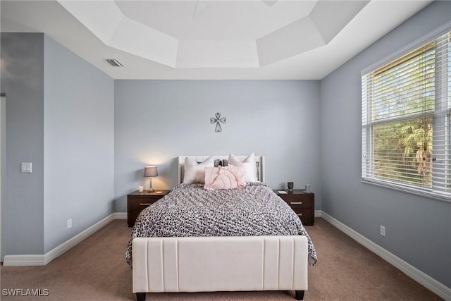 bedroom with carpet flooring and a tray ceiling