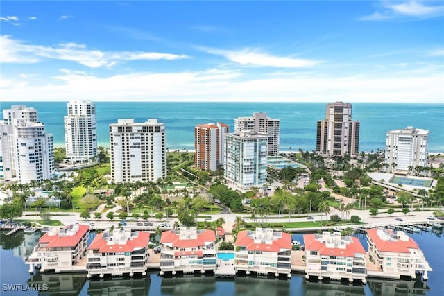 drone / aerial view with a water view and a city view