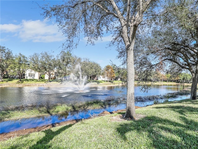 property view of water