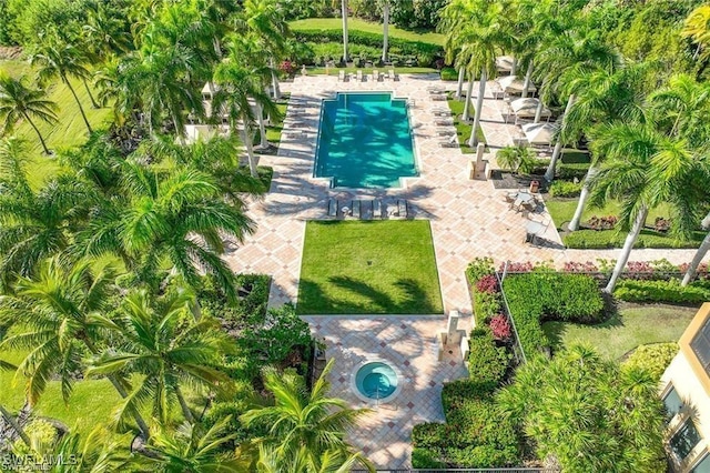1065 Borghese Ln Unit 701, Naples, FL 34114 - drone / aerial view of a pool