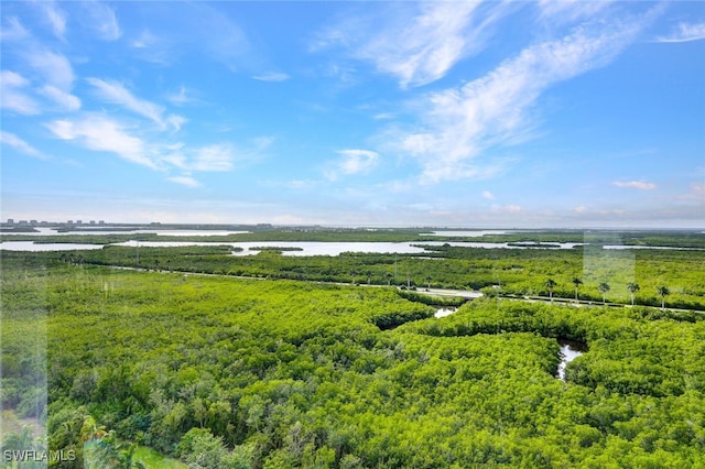 1065 Borghese Ln Unit 701, Naples, FL 34114 - drone / aerial view of a large body of water