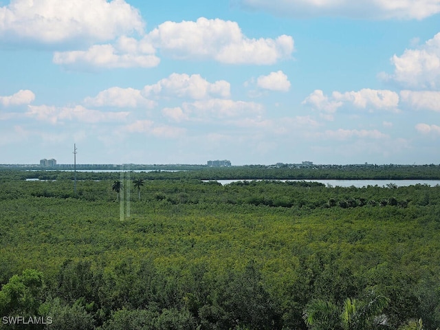 1065 Borghese Ln Unit 701, Naples, FL 34114 - view of yard featuring a water view and a view of trees