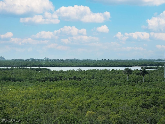 1065 Borghese Ln Unit 701, Naples, FL 34114 - water view featuring a forest