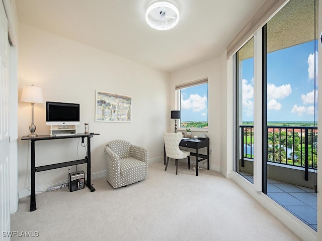 1065 Borghese Ln Unit 701, Naples, FL 34114 - home office featuring carpet and baseboards