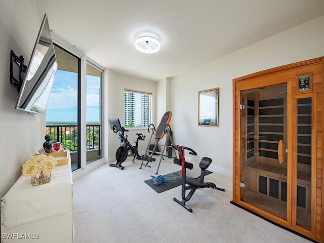 1065 Borghese Ln Unit 701, Naples, FL 34114 - workout area with carpet flooring, baseboards, and a sauna / steam room