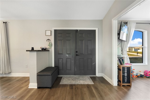 entryway featuring dark wood-type flooring