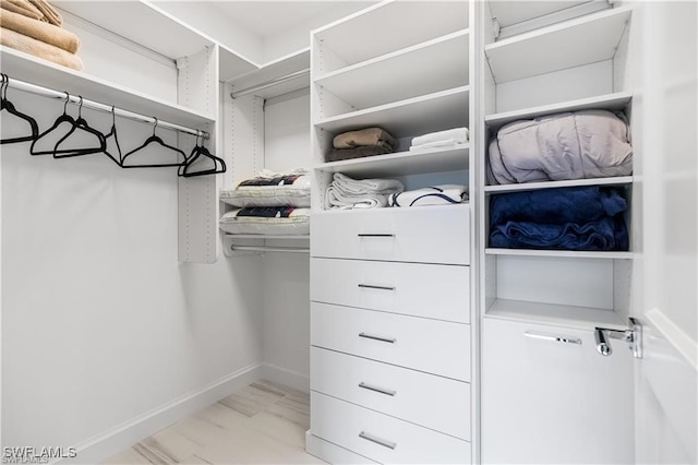 view of spacious closet