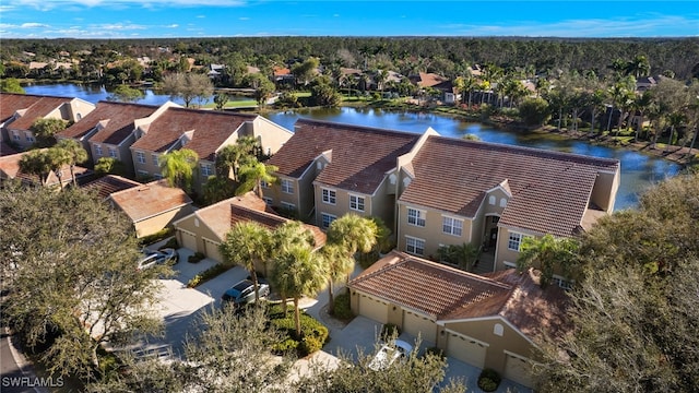 aerial view with a water view