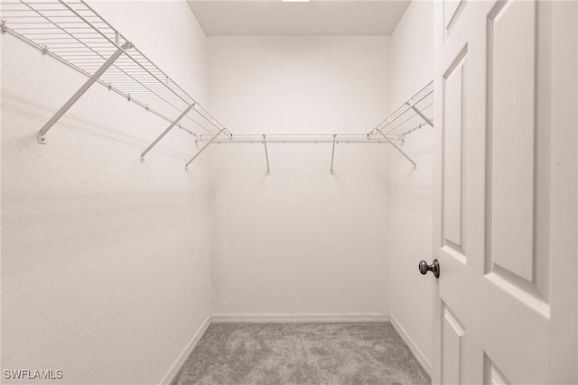 spacious closet with light colored carpet