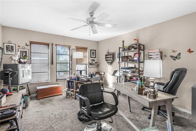 home office with ceiling fan and carpet