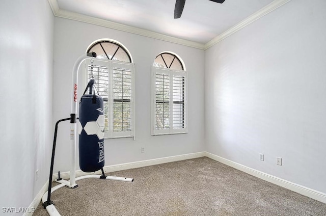 workout room with ceiling fan, carpet floors, and crown molding