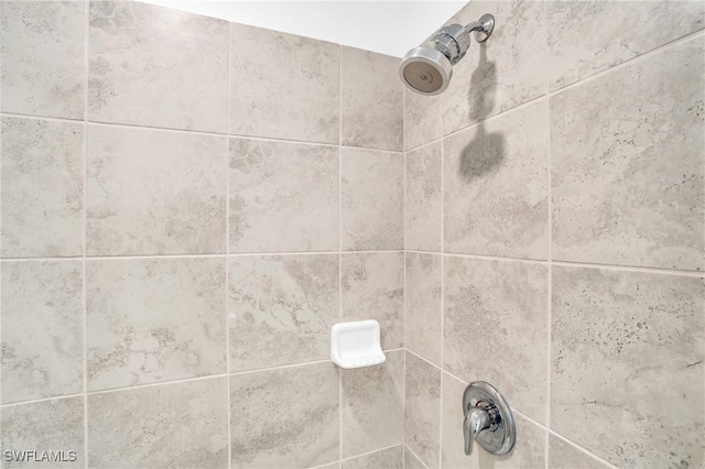 interior details featuring a tile shower