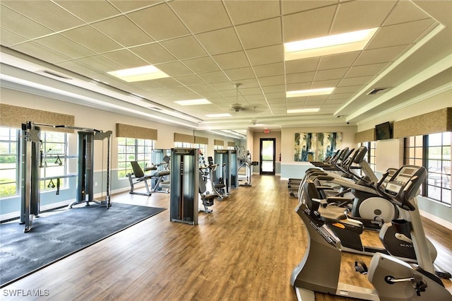 gym featuring hardwood / wood-style flooring, a paneled ceiling, and ceiling fan