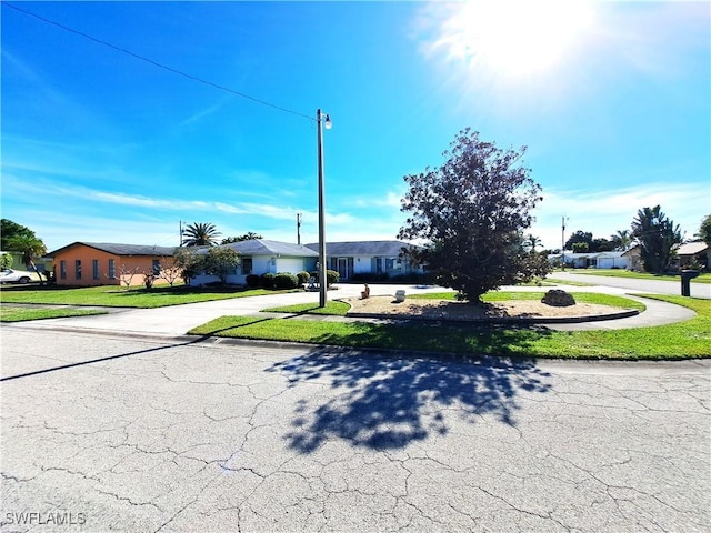 view of front of property featuring a front lawn and curved driveway