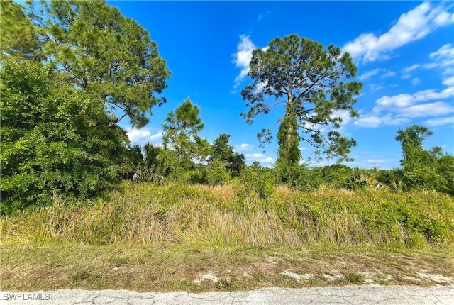 18 Roosevelt Ave, Lehigh Acres FL, 33936 land for sale