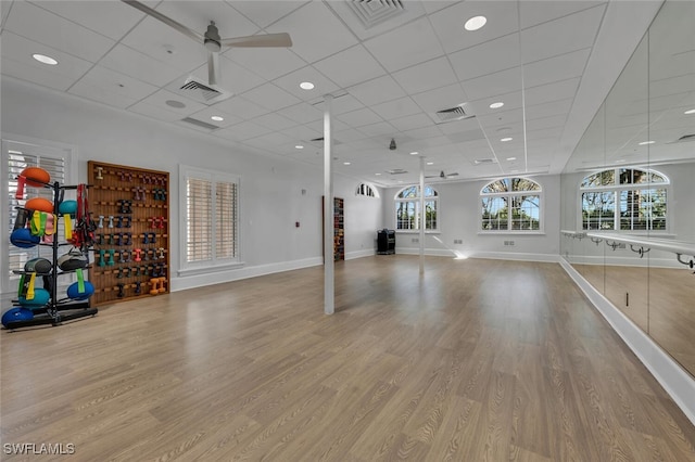 exercise area with a drop ceiling, light hardwood / wood-style flooring, ceiling fan, and a healthy amount of sunlight