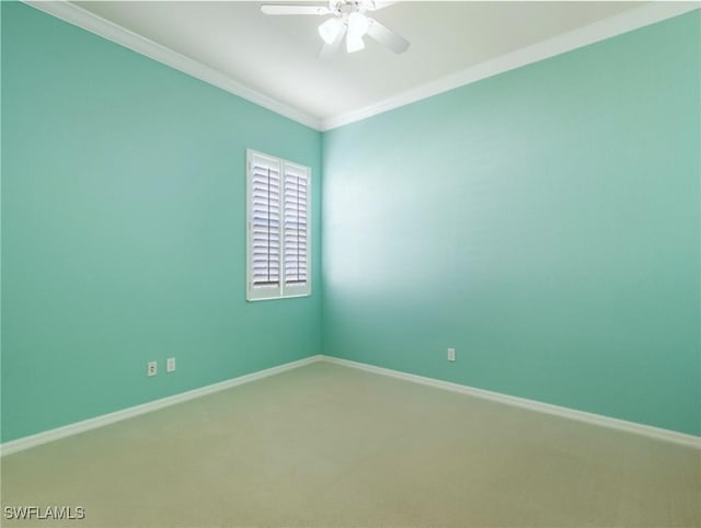 spare room featuring ceiling fan, ornamental molding, and carpet flooring