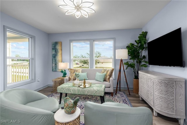 living room featuring hardwood / wood-style flooring and a healthy amount of sunlight