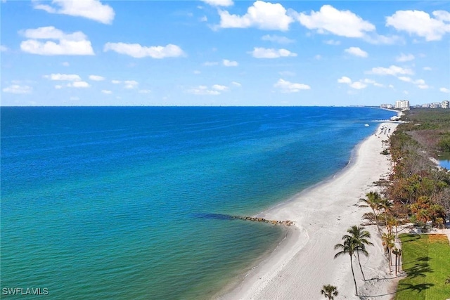 water view with a view of the beach