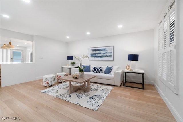 living room featuring light hardwood / wood-style flooring