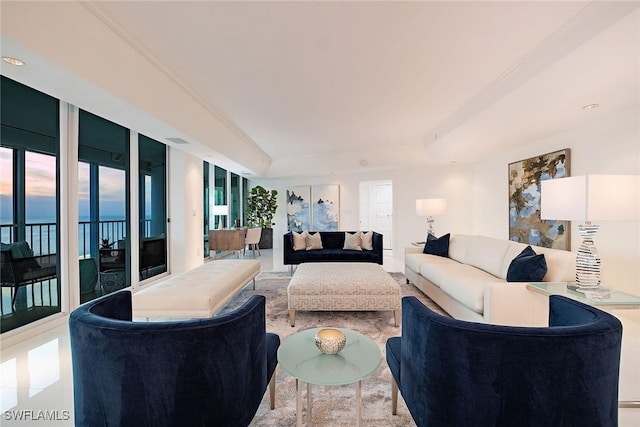 living room with a tray ceiling