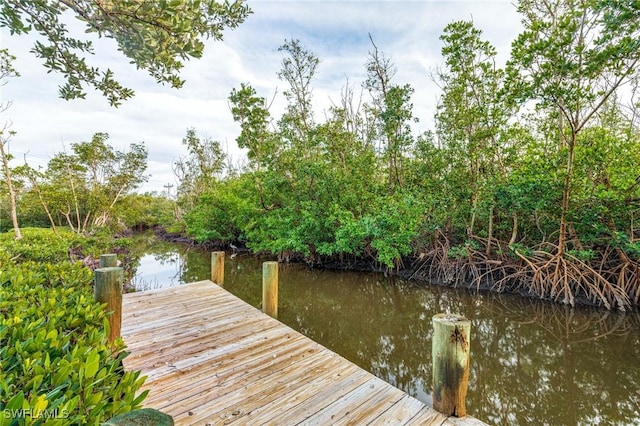 dock area with a water view