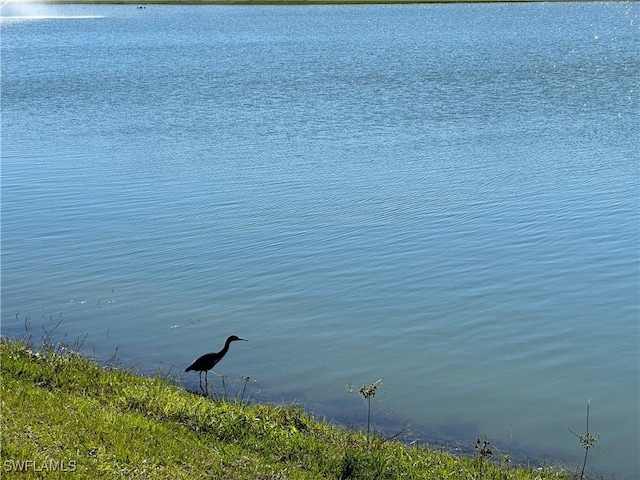 water view