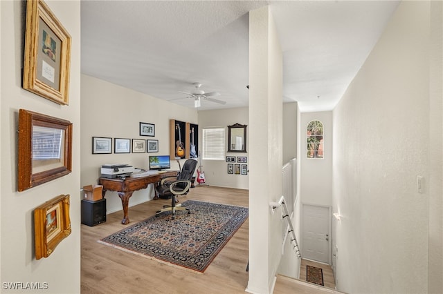 office space featuring ceiling fan and light hardwood / wood-style floors