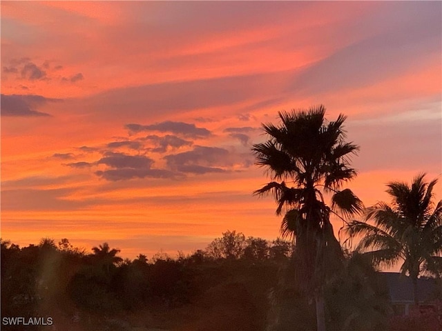 view of nature at dusk