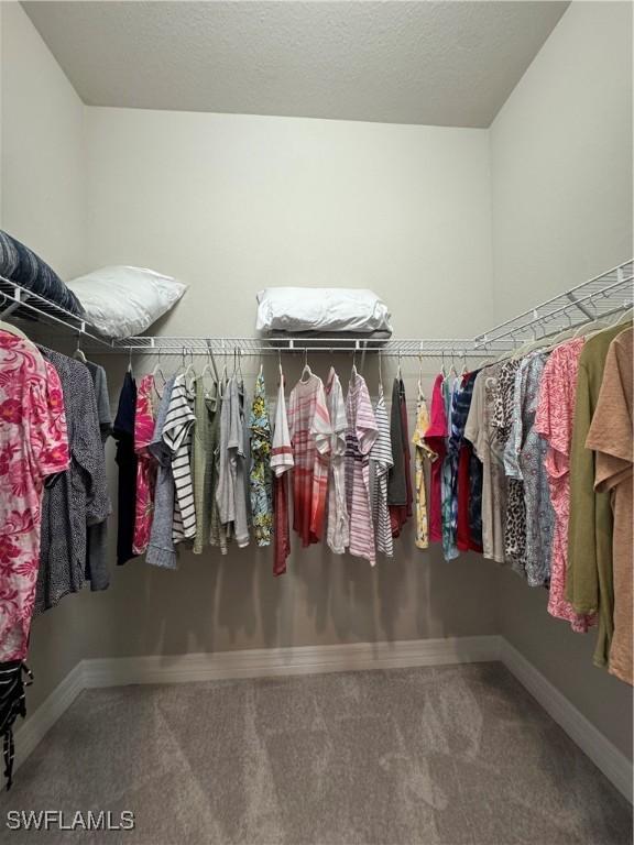 walk in closet with carpet floors