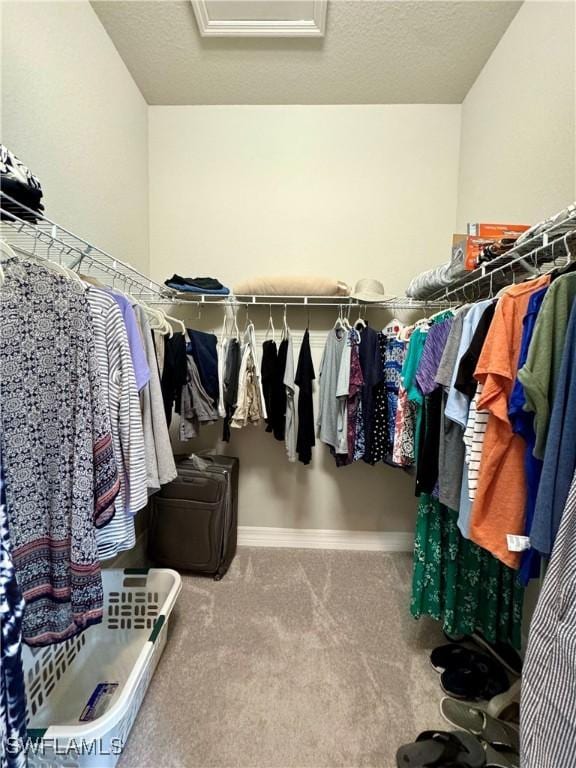 walk in closet with attic access and carpet