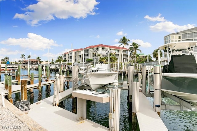 dock area with a water view