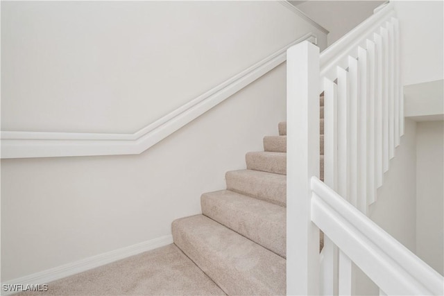 stairway featuring carpet flooring