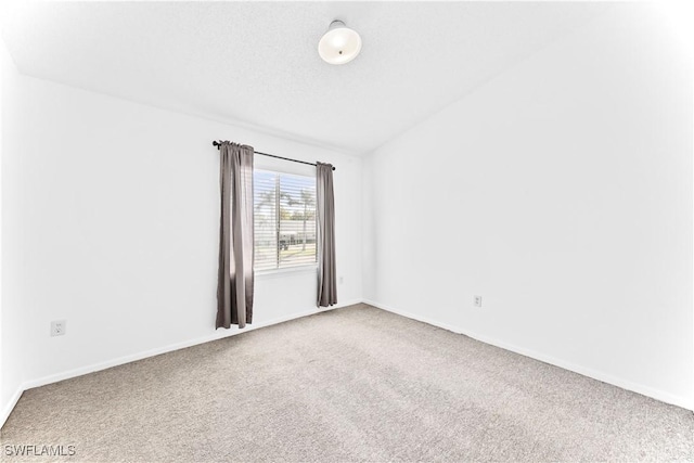 empty room with carpet and a textured ceiling