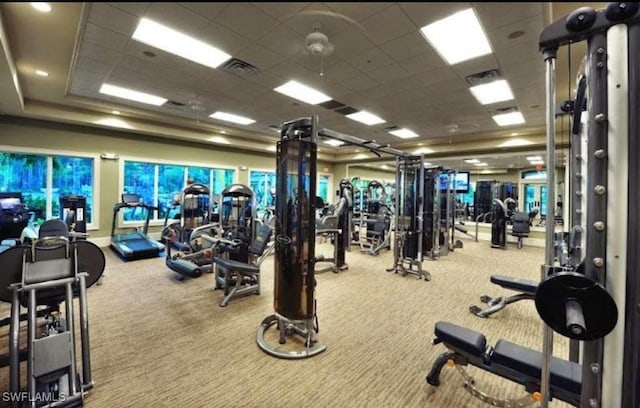 workout area with carpet and a paneled ceiling