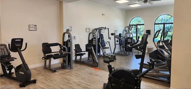 exercise room with light hardwood / wood-style flooring and ceiling fan