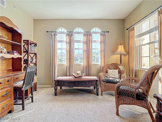 sitting room with carpet floors