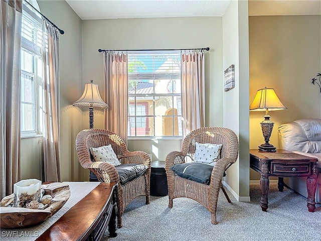 sitting room with a healthy amount of sunlight and carpet floors