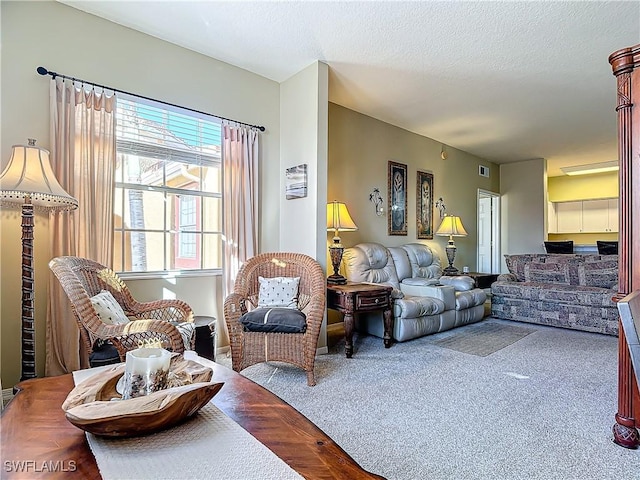 living room featuring carpet and a textured ceiling