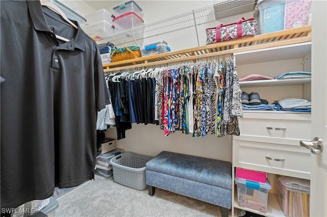 spacious closet with carpet