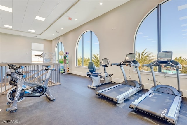 exercise room featuring a wealth of natural light