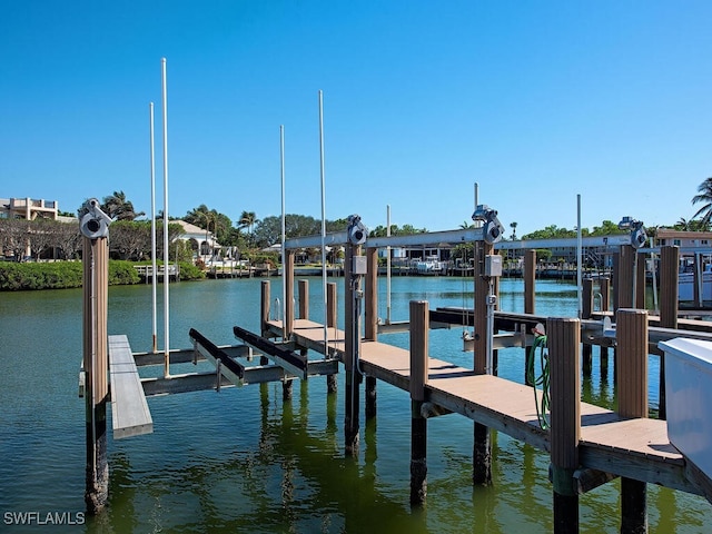 dock area with a water view