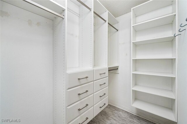 spacious closet with hardwood / wood-style floors