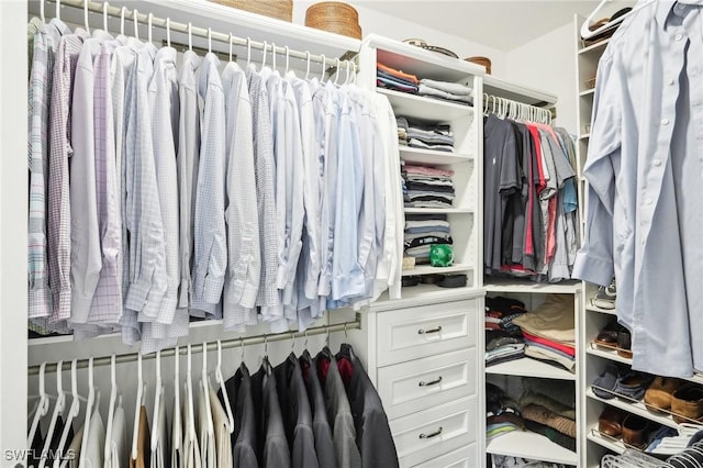 view of walk in closet