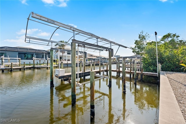 dock area with a water view