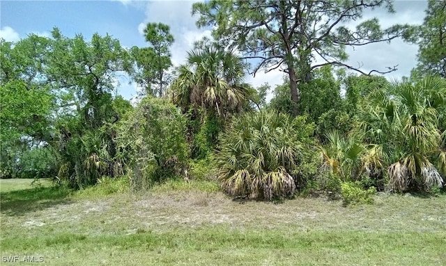 5009 Mateo Cir, Labelle FL, 33935 land for sale