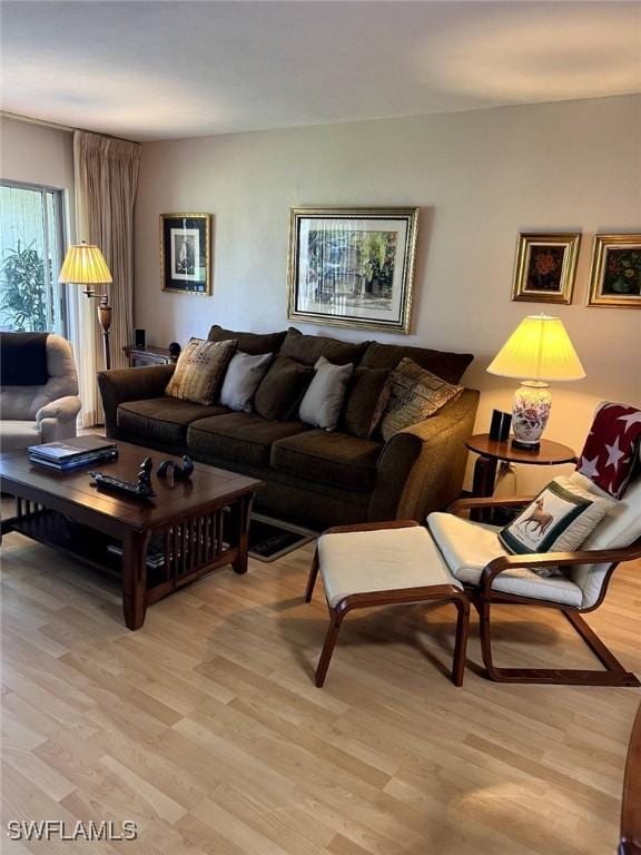 living room with light wood-type flooring