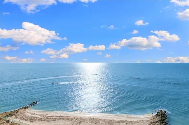 property view of water with a view of the beach